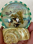 Vintage Marineland Souvenir Shell Water Plants Hand Painted Japan Sticker