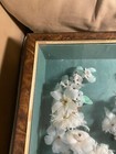 Rare Antique Victorian Mourning Feather Wreath Memorial Shadowbox Framed 19th C