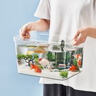 1 Frameless Clear Aquarium With 360   Visibility For Household