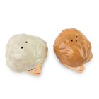 The Golden Girls Rose And Blanche Ceramic Salt And Pepper Shakers   Set Of 2