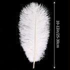 White Ostrich Feathers 12pcs Natural Bulk 10-12inch 25cm-30cm For Crafts Wedding