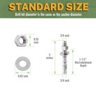 Stainless Steel Concrete Anchor Bolts 3 8  X 3 Inch  20-pack Wedge