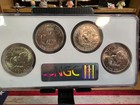 Eisenhower  1 Silver Dollar Set 1971-1974 Uncirculated Ms65 Ngc  4 Coins 