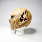 1992 Bram Strokers Dracula Morris Costumes Mask Brand New Original Stock