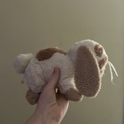 Webkinz Holland Lop Bunny 9  Plush Stuffed Animal Hm632 Htf No Code Ganz 2011 