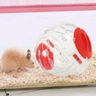 2pcs Running Hamster Wheel Transparent Animal Hamster Running Exercise