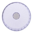 Super-silent Hamster Exercise Wheel For Hamsters Gerbils Supplies