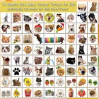 Charlent Cute Cat Meme Temporary Tattoos - 74 Individually Small  Multicolor 