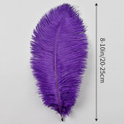 Purple Ostrich Feathers 12pcs Natural Bulk 8-10inch 20cm-25cm For Crafts Wedding