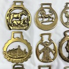 Brass Horse Medallion Lot Of 16 Antique To Vintage Parrot Horseshoe Shire Lion