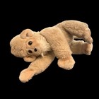 Haunted Paranormal Doll Vessel 8    Austin Teen Boy Spirit Passed Early 2000s
