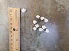 Dollhouse White Roses Flowers Set Of 10 With Stems 1 12 Scale Miniature Garden