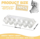 Septo 2 X 6 Plastic Egg Cartons For 12 Eggs 50 Pcs Egg Cartons Cheap Bulk Clear