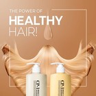 Nourishing Shampoo   Conditioner 500ml Set Korean Beauty For Dry Damaged Hair   