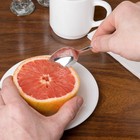 Usa Seller  4 Grapefruit Spoons Windsor Heavy Weight 18 0 S s Free Ship Us Only