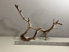 Manzanita Wood  Burnt Driftwood  Reptile Tank Decor   Aquascape  Terrarium