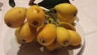 Lot 2 Loquat Tree Organic Japanese Plum  Draught Resistant  Always Green No Pot 