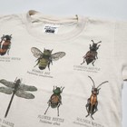 Vintage 1990s Insect Nature Kids T Shirt Beige Bug Science Graphic Tee 1996 2-4
