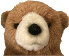 Avanti 12 Inch Brown Bear Plush 1982 By Applause Limited Van Nuys Vintage 80s