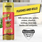 Bengal Gold Roach Spray - Odorless  Stain-free Bug Spray For Home - Prevents    