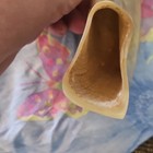 Judaica Curved Shofar Horn - Collectible Judaism Religious Instrument W  Label