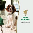 Nature s Miracle Unscented Enzymatic Formula Urine Stain Remover For Dogs - 1gal