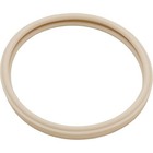 Gasket  Pentair Amerlite  Light Lens  8-3 8 