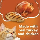 Purina Friskies 5 5 Oz Canned Wet Cat Food - Chicken And Turkey Variety Pack  40