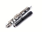 Selmer 411 Wave Intermediate Grenadite Student Piccolo Reconditioned  warranty