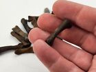 Bird Toe Bone Fossil - Florida - Pleistocene Ice Age - 1 Per Purchase