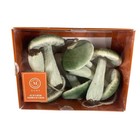 6 Pc  Martha Stewart Faux Mushrooms Fall Autumn Garden Harvest New