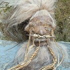 Shrunken Head  Oddities Curiosities  Real Leather And Hair  Medium  Lama Alpaca