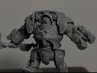 Custodes Contemptor 
