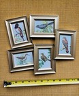 5 Mini Framed Vintage Bird Illustrations - Tiny Gallery Wall