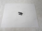 Nhra Original 1994 Shirley Muldowney Top Fuel Dragster Drag Racing Photograph