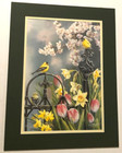 Susan Bourdet Victorian Seasons Spring Goldfinches Signed 37 950 Vintage Print