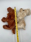 Lot Of 2 Ganz Webkinz Irish Setter Hm177 American Golden Hm371 Puppy Dogs 11 