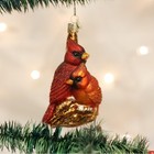Old World Christmas Pair Of Cardinals Glass Ornament Free Box 16045 New