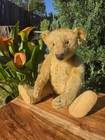 Antique Steiff  Teddy Bear 12 Inches Possible 1910 