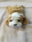 Ty Wrinkles Beanie Baby Ultra Rare  May 1st 1996  New With Tags