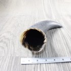 1 Raw Unfinished Cow Horn  3254   Natural Colored