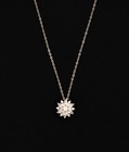 Upper East Side Floral Sparkler Set