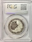 2009-w 1 Oz  Platinum American Eagle Pcgs Pr-70 Dcam
