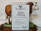 Border Fine Arts Rare Style One Simmental Bull Ltd Edn of 850 Coa  Model No  L18