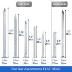 400pcs Hardware Nails Assortment Kit  Picture Hanging Nails  Galvanized Nails   