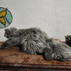 Ty    smokey    Grey Persian Fluffy Realistic Kitty Cat Yellow Eyes 1999 Plush 19 