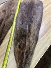   Weekly Special   Giant Beaver Fly Tiers Special Old Tan 35 To 40   Damaged