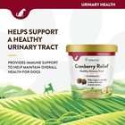 Naturvet Cranberry Relief And Echinacea Soft Chew Dog Urinary Tract 60 Count