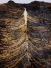 Premium Xlarge Natural Exotic Dark Brindle Cowhide Rug skin 82 x83    Cl-184