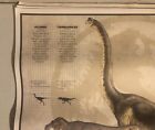 1993 Universal Studios Dinosaurs Of Jurassic Park 18    X 24    Promotional Poster 